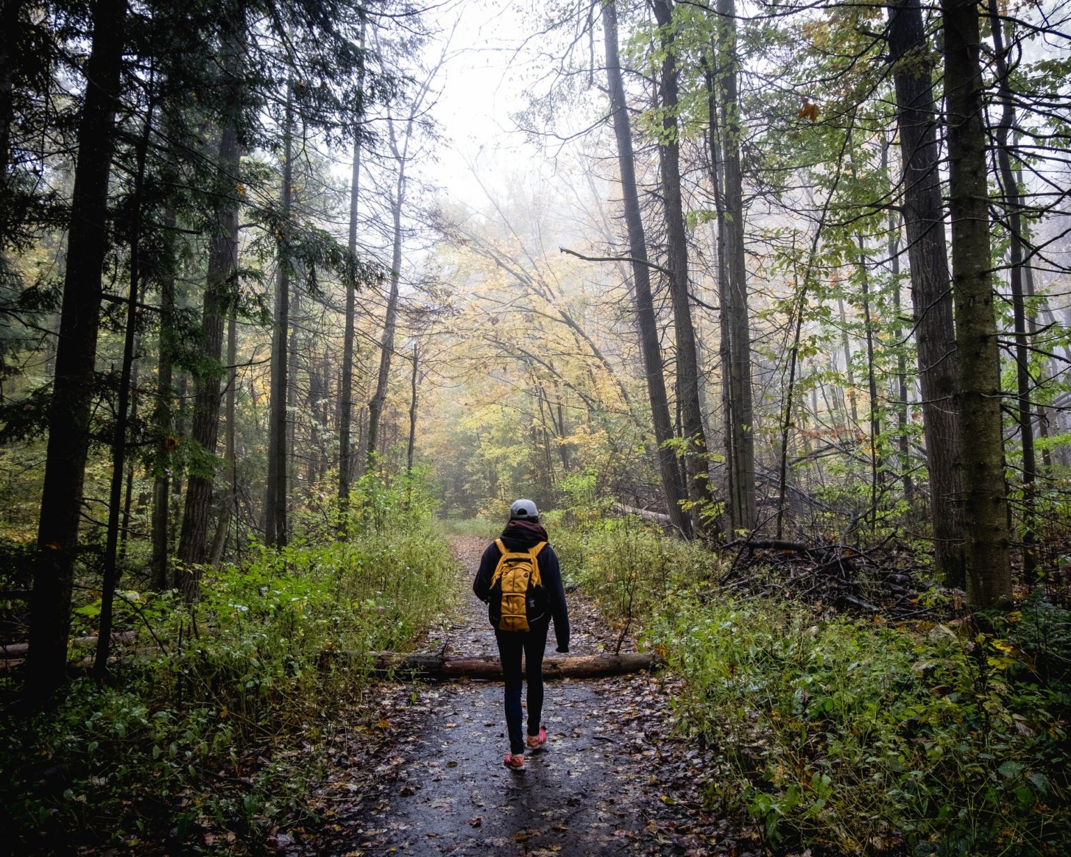 How to Prepare for Backpacking in the Rain - The Backpacking Site