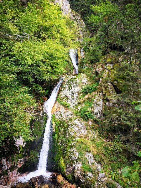 5 Great Hikes in the Northern Black Forest, Germany