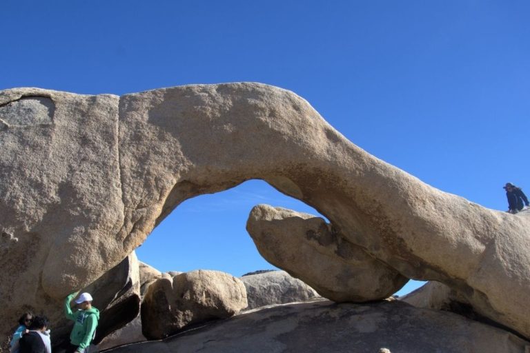 Best Hikes In Joshua Tree National Park - The Backpacking Site